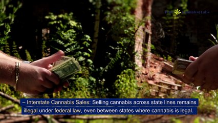 California Cannabis Commerce – Intrastate vs. Interstate