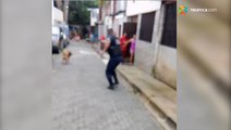 tn7-Policía dispara contra perro en Heredia-170624