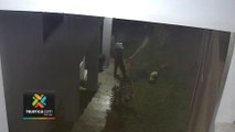 tn7-Video: Rescatan perro que era agredido por su dueño en Heredia-170624