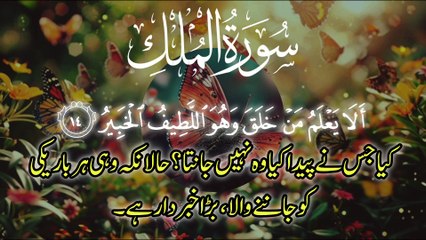 Surah Al Mulk Best emotional Heart Touching Tilawat Quran