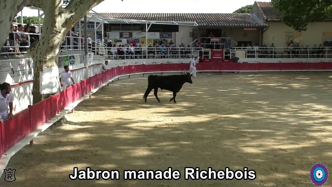 2024 05 20 Jabron