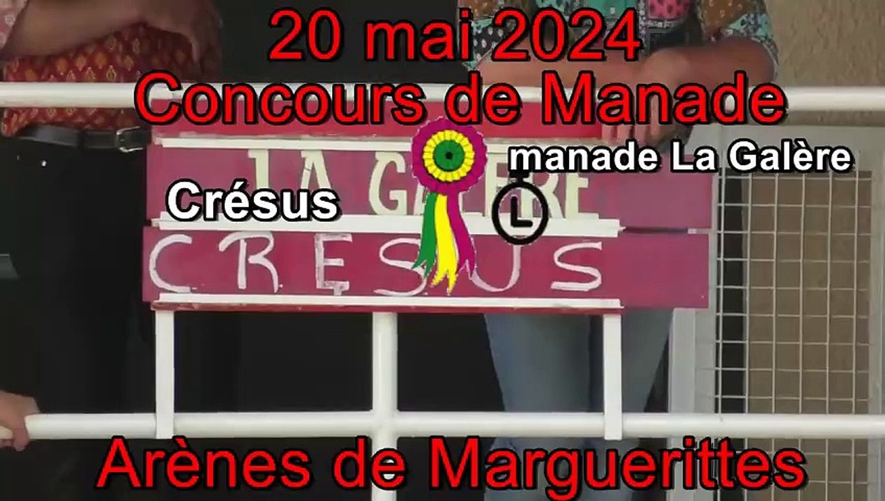 2024 05 20 Cresus