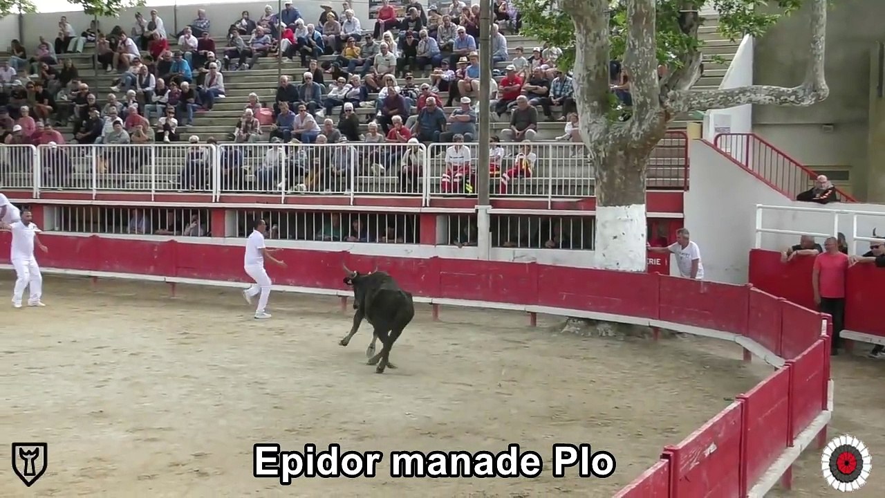 2024 05 20 Epidor