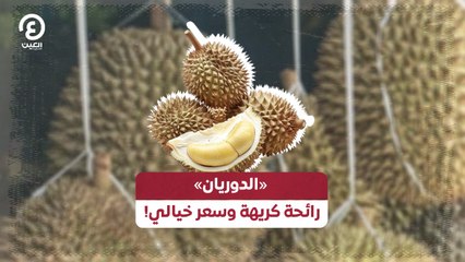 «الدوريان» رائحة كريهة وسعر خيالي!