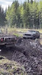Car Gets Stuck in Mud