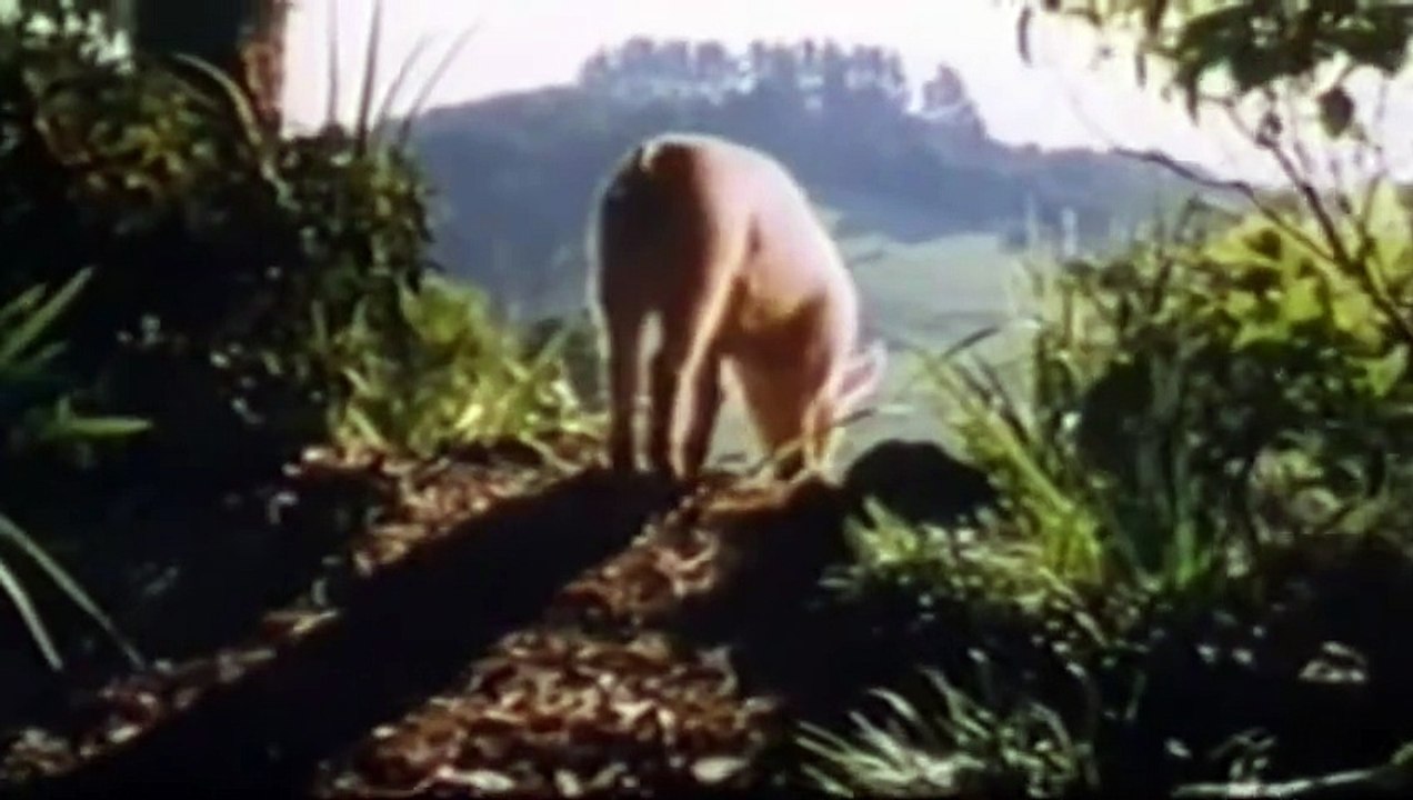 Ein Schweinchen namens Babe | movie | 1995 | Official Trailer