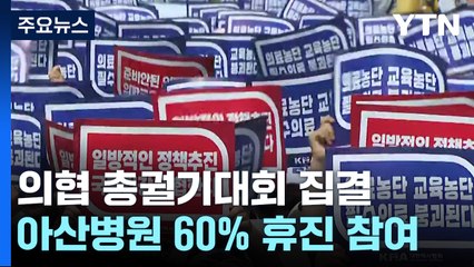 '교수·개원의까지 휴진'...의협, 총궐기대회 개최 / YTN