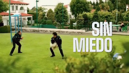 Росомаха и Лисица (1982) — Официальный Трейлер 🦊