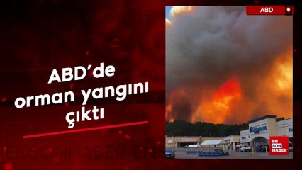 ABD'de orman yangını çıktı