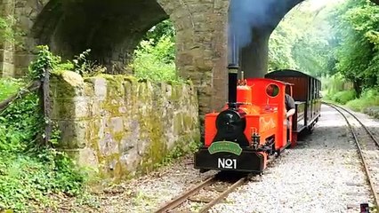 Lappa Valley 50th birthday