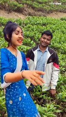 Traveling vlog, iska name hero