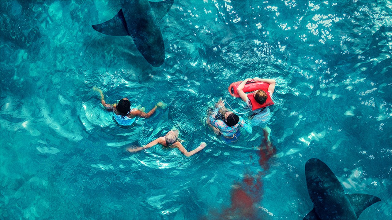 Something In The Water Trailer DF