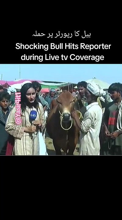 Reporters pay bull ka hamla