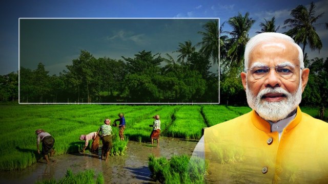 PM Kisan 17వ విడత నిధులు విడుదల చేసిన ప్రధాన మంత్రి Narendra Modi | Oneindia Telugu