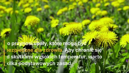 Upalne dni bez stresu.  Praktyczne sposoby na zdrowe lato