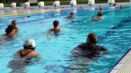 Senate Inquiry investigates effects, symptoms and treatment