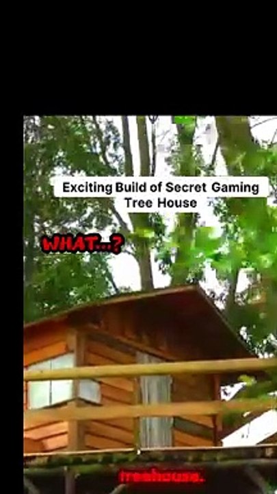 Exciting Build of Secret Gaming Tree House