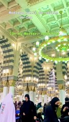 Maula Ya Salli Wa Sallim | Sami Yusuf