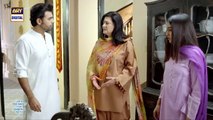 Mere HumSafar Episode 15 | Pakistani Drama | Romantic and Comedy #pakistanidrama #serial #hindi #drama #comedy
