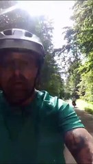 Paul and Neil's forest cycle