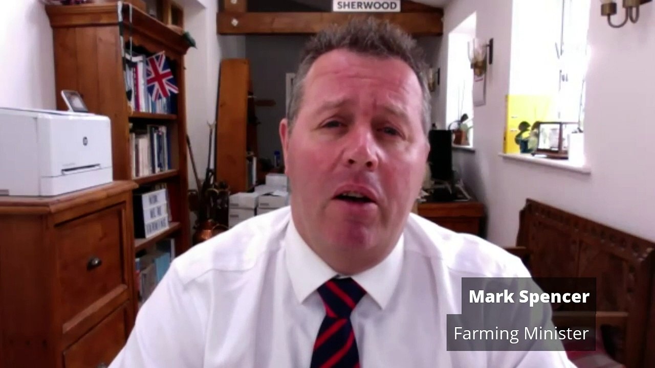 Govt: A vote for Reform will hand Downing St keys to Starmer