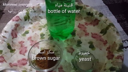 The most powerful natural fertilizer for  plants