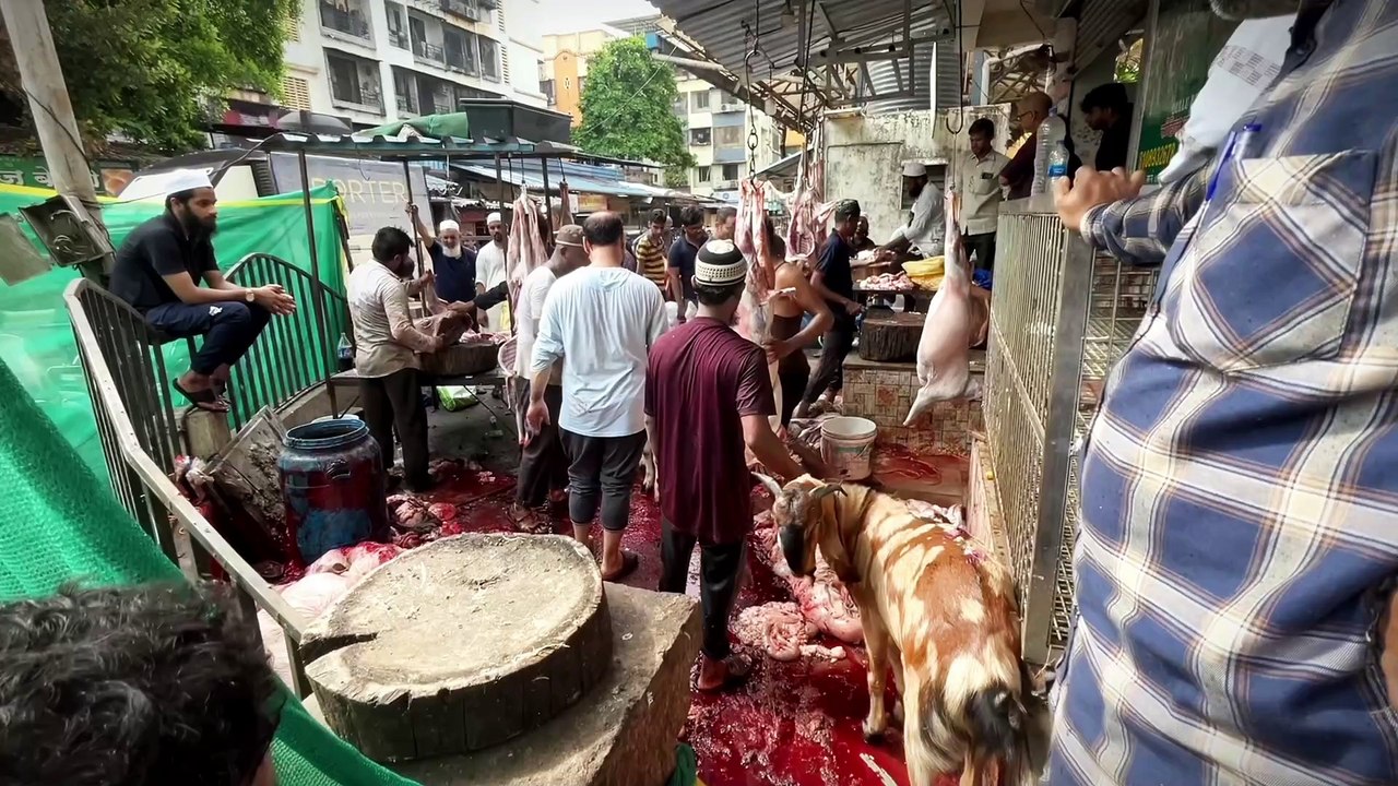 Bakra Eid Qurbani Vlog 2024 