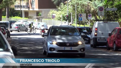 RADICI, BUCHE E DOSSI GIMKANE SUL VIALE REGINA ELENA