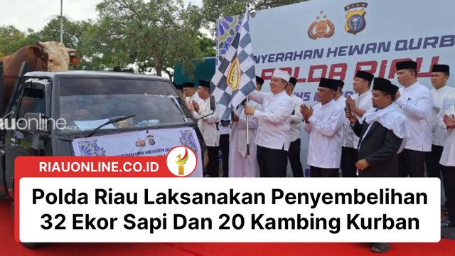 Polda Riau Laksanakan Penyembelihan 32 Ekor Sapi Dan 20 Kambing Kurban