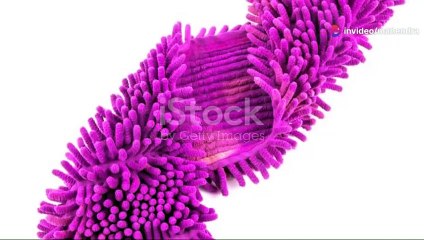 Mastering Cleanroom Standards_ Essential