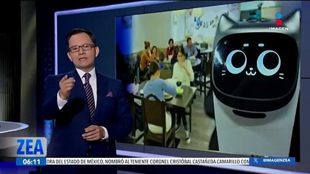 Robot con cara de gato sustituye a los meseros en un restaurante en Alemania