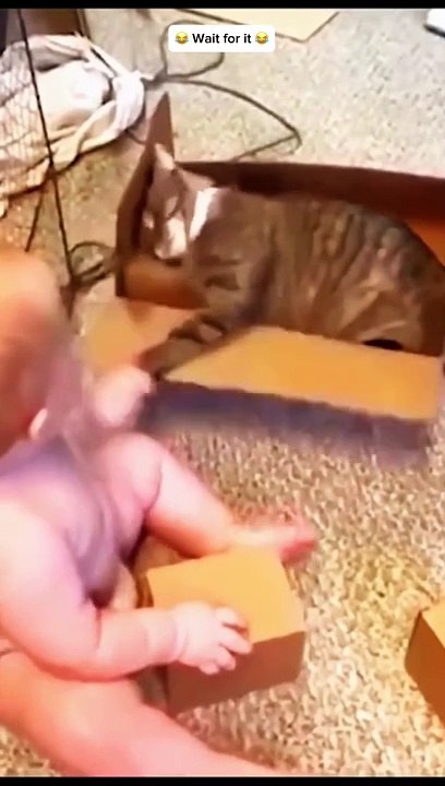 Funny caty  #follow #foryou