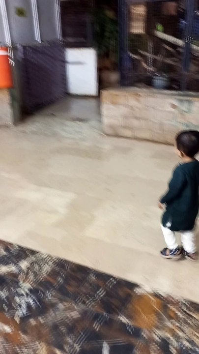 Explore ikrama shiekh
