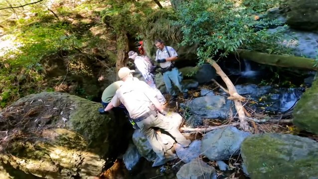 Injured California hiker rescued by helicopter after falling off trail into creek