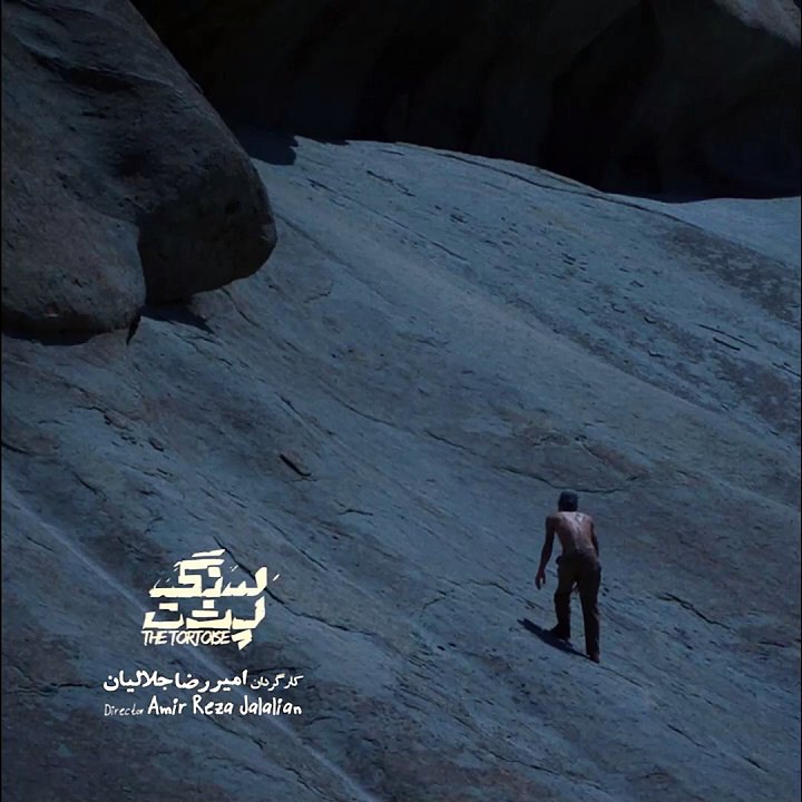 اکران آنلاین فیام کوتاه ایرانی سنگ پشت | Iranian Short Movie Tortoise