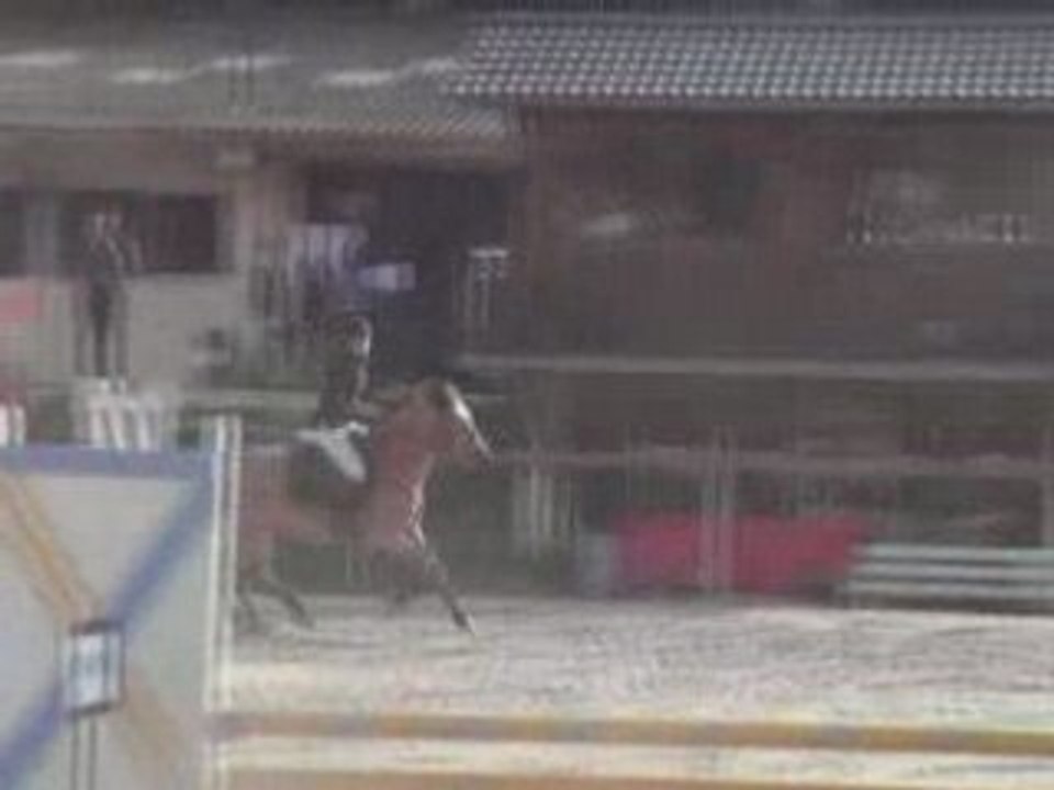 Jessie et elsa club poney 1 6 avril 2008