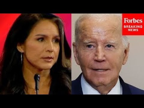 ‘We Can’t Trust A Single Thing That They Say’: Tulsi Gabbard Hammers Biden Over Border