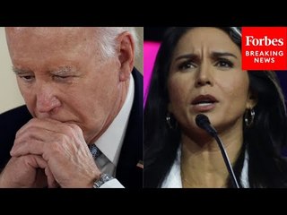 Tulsi Gabbard: This Is Why ‘I Am Terrified’ Of Democrats Remaining In Power