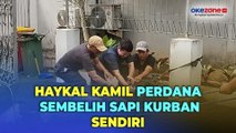 Berbobot Capai 600 Kg, Haykal Kamil Perdana Sembelih Sapi Kurban Sendiri