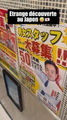 Étrange Découverte au Japon 