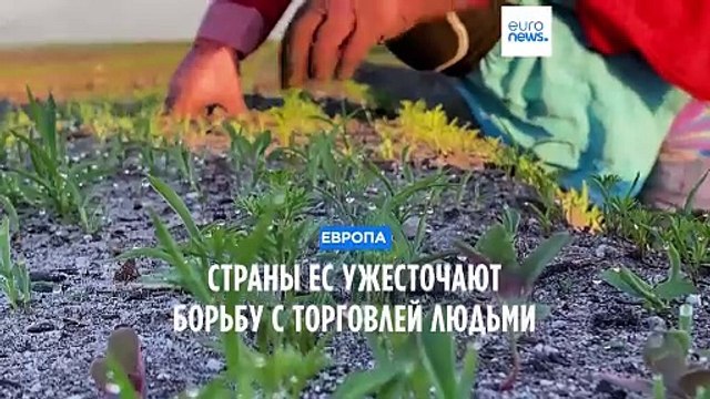 ЕС ужесточает борьбу с торговлей людьми