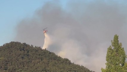 광주 생용동 야산 불...5시간 만에 꺼져 / YTN