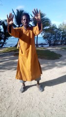 Qi gong et t'ai chi master d himmoris