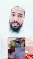 #shorts Is Tote Ne Quran Padh Kar Sunaya Masha Allah  #amazing #trending #mufti_a_haq_qasmi