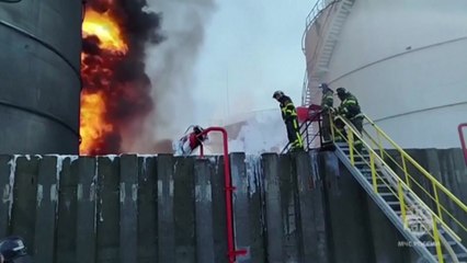 조지 워싱턴 저택에서 250년 된 체리 발견..."완벽한 상태" / YTN