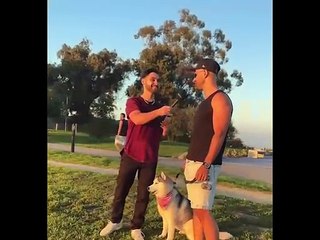 UNUSUAL MEMES COMPILATION