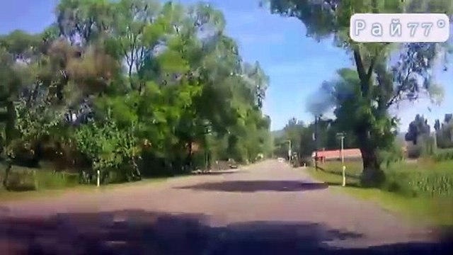 Il refuse de se faire doubler par un bus et va le regretter