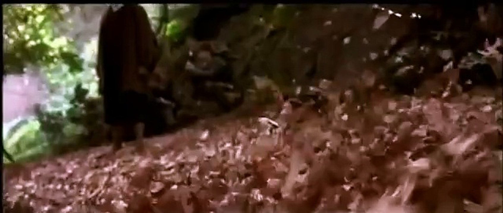 Bande-annonce du film Le Seigneur des anneaux / Il a interprété Gandalf et Magnéto : pourquoi la situation de Ian McKellen inquiète tant les fans ?