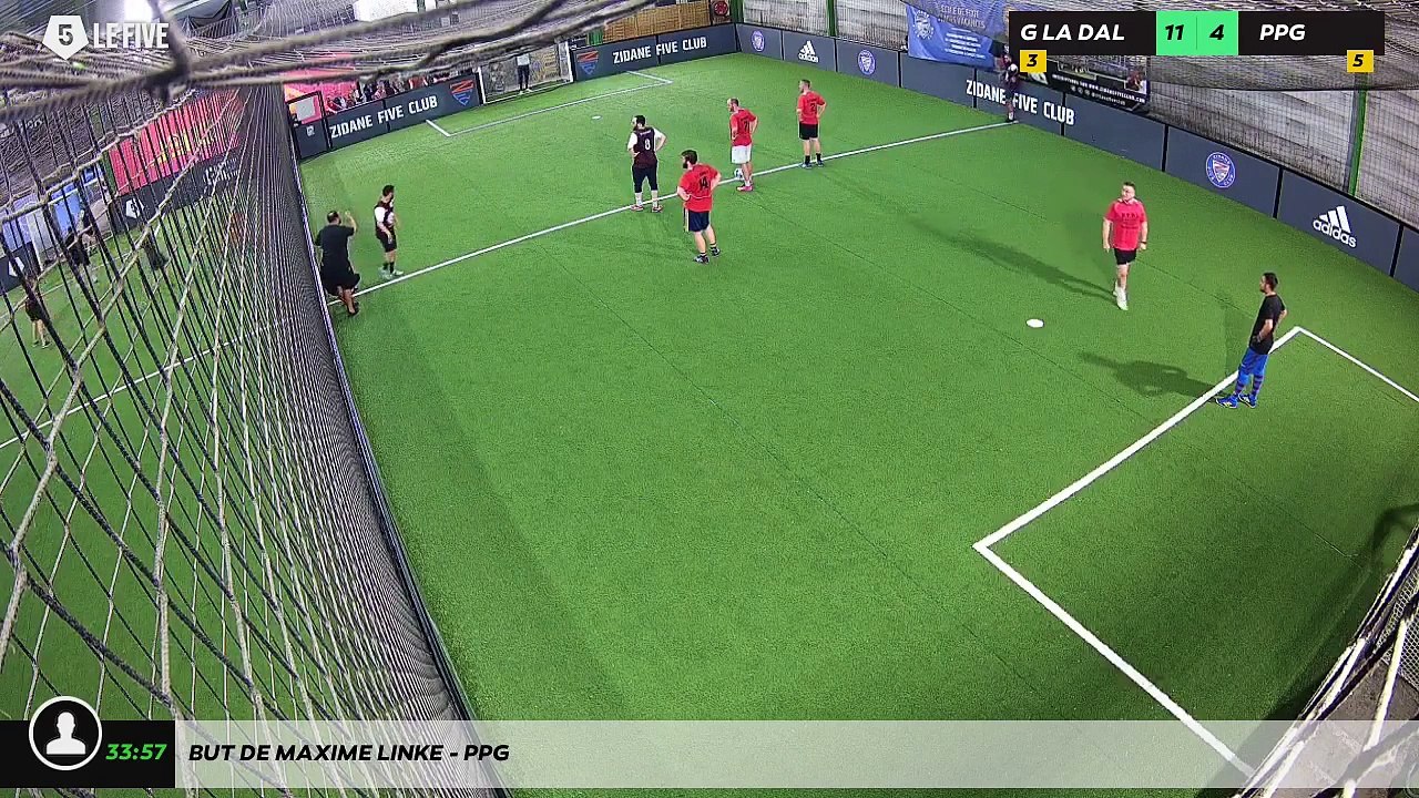 But de MAXIME LINKE - PPG