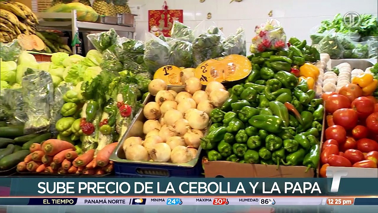 Canasta Basica.mp4